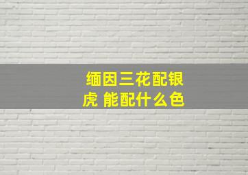 缅因三花配银虎 能配什么色